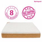 Premium Plus - Pocketed Spring with Memory Foam Pillow Top Mattress