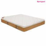 Premium Plus - Pocketed Spring with Memory Foam Pillow Top Mattress